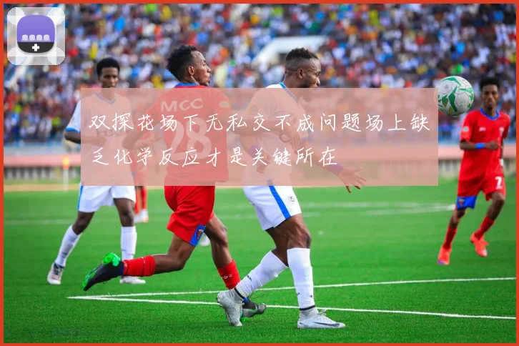 双探花场下无私交不成问题场上缺乏化学反应才是关键所在