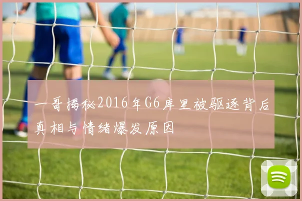 一哥揭秘2016年G6库里被驱逐背后真相与情绪爆发原因
